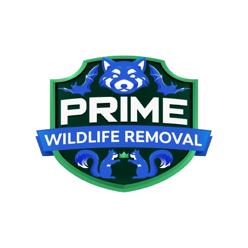 Wildlife Removal Clark County